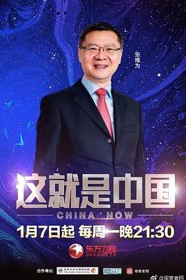 善良漂亮的岳9